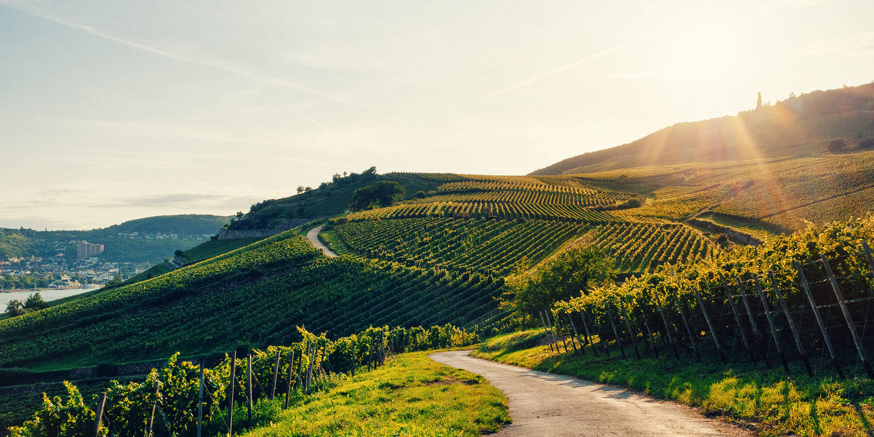 Heiraten im Kronenschlösschen zwischen Weingut und Rhein