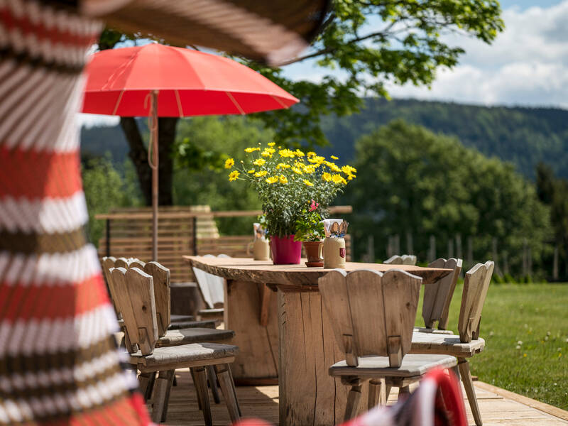 BM Frühlingserwachen4